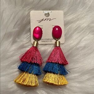 JM Multicolor Tassel Earrings
